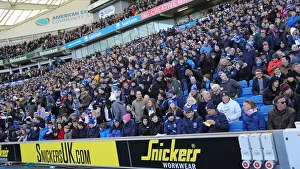 Brighton and Hove Albion vs. Crystal Palace: A Premier League Showdown at American Express Community Stadium (29th February 2020)