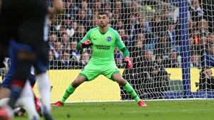 Brighton & Hove Albion vs. Crystal Palace: A Premier League Showdown at American Express Community Stadium (29.02.20)