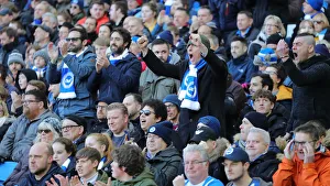 Brighton and Hove Albion vs. Crystal Palace: A Premier League Showdown at American Express Community Stadium (29 February 2020)