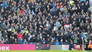Brighton and Hove Albion vs. Crystal Palace: A Premier League Clash at American Express Community Stadium (29 Feb 2020)