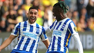 Brighton & Hove Albion vs. Watford: 2021-22 Premier League Battle at American Express Community Stadium