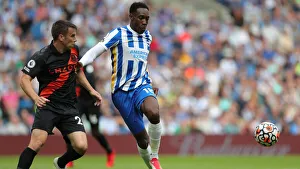 Brighton & Hove Albion vs. Everton: 2021/22 Premier League Battle at American Express Community Stadium