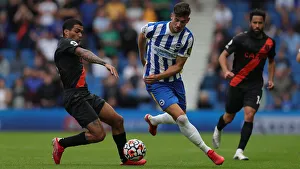 Brighton & Hove Albion vs. Everton: 2021-22 Premier League Battle at American Express Community Stadium