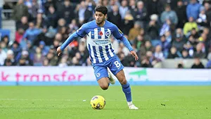 Brighton & Hove Albion vs. Sheffield United: A Premier League Showdown at American Express Stadium (Nov 12, 2023)