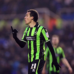 Birmingham City - 19-01-2013 Prints: Brighton & Hove Albion vs