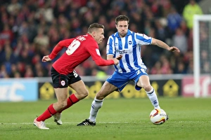 2013 Prints: Brighton & Hove Albion vs