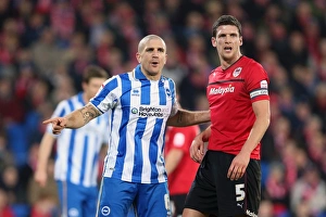 Brighton & Hove Albion vs. Cardiff City (Away) - Season 2012-13: A Fight at the Cardiff City Stadium (19-02-2013)