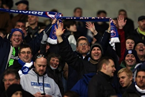 Brighton & Hove Albion vs. Cardiff City (Away) - Season 2012-13: A Fight at the Cardiff City Stadium (19-02-2013)