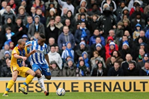 Crystal Palace -17-03-2013 Prints: Brighton & Hove Albion vs