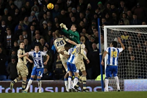 Brighton & Hove Albion vs. Leeds United: 11-02-2014 (11-02-2014: A Historic 9-Goal Thrashing of Leeds United by Brighton & Hove Albion)