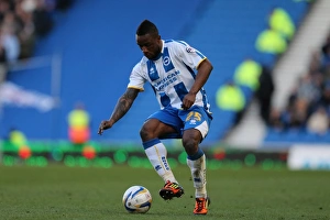 Brighton & Hove Albion vs. Ipswich Town (2013-14 Season): Home Game Highlights (Ipswich Town 22-03-14)