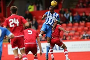 Images Dated 26th July 2015: Brighton and Hove Albion vs Aberdeen: Pre-Season Clash at Pittodrie