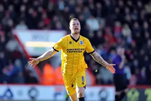 Brighton & Hove Albion vs. AFC Bournemouth: 2013-14 Away Game