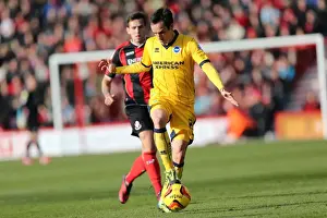 AFC Bournemouth - 30-11-2013 Prints: Brighton & Hove Albion vs. AFC Bournemouth: 2013-14 Away Game