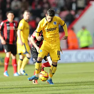 AFC Bournemouth - 30-11-2013 Prints: Brighton & Hove Albion vs. AFC Bournemouth: 2013-14 Away Game