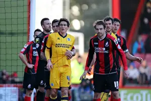 AFC Bournemouth - 30-11-2013 Prints: Brighton & Hove Albion vs. AFC Bournemouth: 2013-14 Away Game