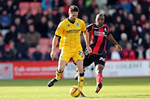 AFC Bournemouth - 30-11-2013 Prints: Brighton & Hove Albion vs. AFC Bournemouth: 2013-14 Away Game