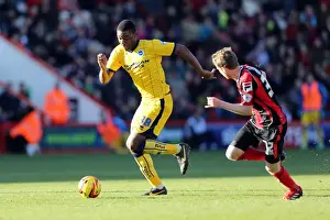 AFC Bournemouth - 30-11-2013 Prints: Brighton & Hove Albion vs AFC Bournemouth: 2013-14 Away Game
