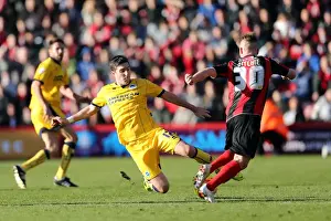 AFC Bournemouth - 30-11-2013 Prints: Brighton & Hove Albion vs. AFC Bournemouth: 2013-14 Away Game