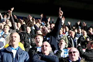 AFC Bournemouth - 30-11-2013 Prints: Brighton & Hove Albion vs. AFC Bournemouth: 2013-14 Season - Away Game