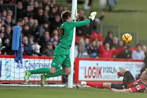 Brighton & Hove Albion vs. AFC Bournemouth (Away) - 30-11-2013: Season 2013-14, AFC Bournemouth Game