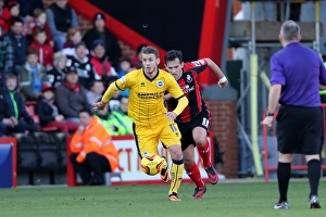 AFC Bournemouth - 30-11-2013 Prints: Brighton & Hove Albion vs. AFC Bournemouth (Away), 30-11-2013