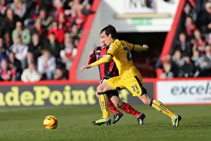 AFC Bournemouth - 30-11-2013 Prints: Brighton & Hove Albion vs AFC Bournemouth: Away Game - November 2013