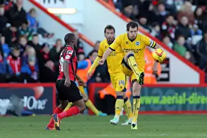 AFC Bournemouth - 30-11-2013 Prints: Brighton & Hove Albion vs AFC Bournemouth: Away Game (November 2013)