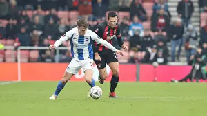 Brighton and Hove Albion vs AFC Bournemouth: FA Cup 3rd Round Clash at Vitality Stadium (05.01.19)