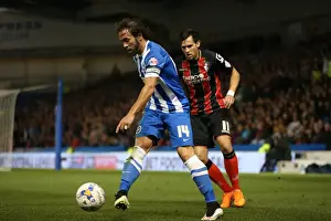 Brighton & Hove Albion vs AFC Bournemouth: Inigo Calderon in Action (Sky Bet Championship, 10APR15)