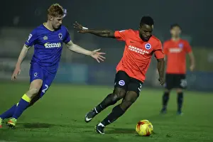 Brighton & Hove Albion vs AFC Wimbledon: EFL Trophy Showdown at The Cherry Red Records Stadium (06DEC16)
