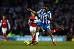 Images Dated 26th January 2013: Brighton & Hove Albion vs Arsenal (2012-13): A Home Game Review - Arsenal's January Visit