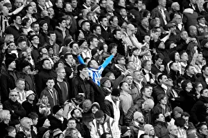 Brighton & Hove Albion vs. Arsenal (2012-13 Home Game)