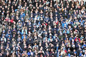 Arsenal - 26-01-2013 Prints: Brighton & Hove Albion vs Arsenal (2012-13): A Home Game Review - January 26, 2013