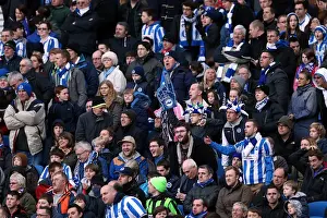 Brighton & Hove Albion vs Arsenal (2012-13 Season: Home Game)