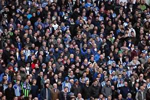 Brighton & Hove Albion vs Arsenal (2012-13 Season): A Home Game Review - Arsenal's January Visit