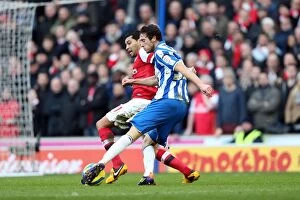 Images Dated 26th January 2013: Brighton & Hove Albion vs Arsenal (2012-13 Home Game)