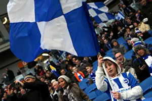 Brighton & Hove Albion vs Arsenal: A Fight for Victory (25Jan15)
