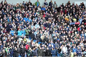 Arsenal - 26-01-2013 Prints: Brighton & Hove Albion vs Arsenal: A Home Battle (2012-13 Season)