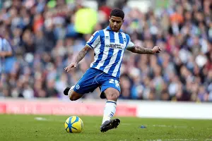 Brighton & Hove Albion vs Arsenal: A Home Battle (2012-13 Season - Arsenal's Visit)