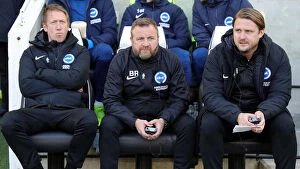 Images Dated 18th January 2020: Brighton and Hove Albion vs Aston Villa: A Premier League Clash at American Express Community