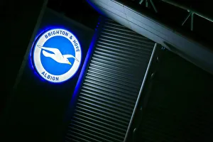 Brighton and Hove Albion vs Aston Villa: A Premier League Battle at American Express Community Stadium (January 2020)