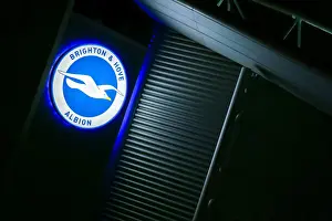 Brighton and Hove Albion vs Aston Villa: January Showdown in the Premier League (18th Jan 2020)