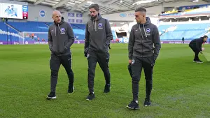 Brighton and Hove Albion vs. Aston Villa: January Showdown in the Premier League (18th Jan 2020)