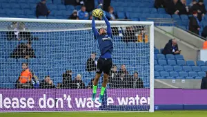 Brighton and Hove Albion vs. Aston Villa: January Showdown in the Premier League (18th Jan 2020)