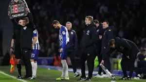 Brighton and Hove Albion vs. Aston Villa: January Showdown in the Premier League (18th Jan 2020)