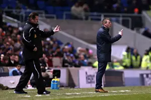Brighton & Hove Albion vs Austria U21: Clash at The Amex (25-03-2013)
