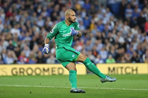 Brighton and Hove Albion vs Barnet: EFL Cup Showdown at American Express Community Stadium (22nd August 2017)