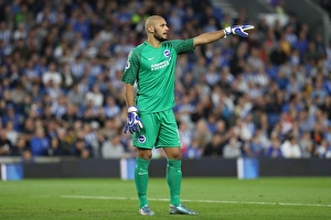 Brighton and Hove Albion vs Barnet: EFL Cup Showdown at American Express Community Stadium (22nd August 2017)