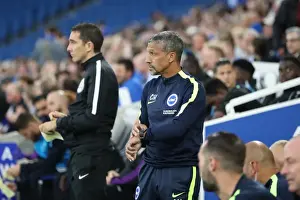 Brighton and Hove Albion vs Barnet: EFL Cup Battle at American Express Community Stadium (22nd August 2017)